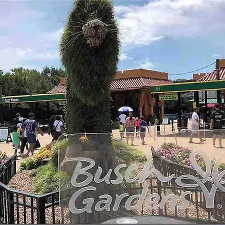 Minutes To Fairgrounds, Hard Rock, & Busch Gardens Villa